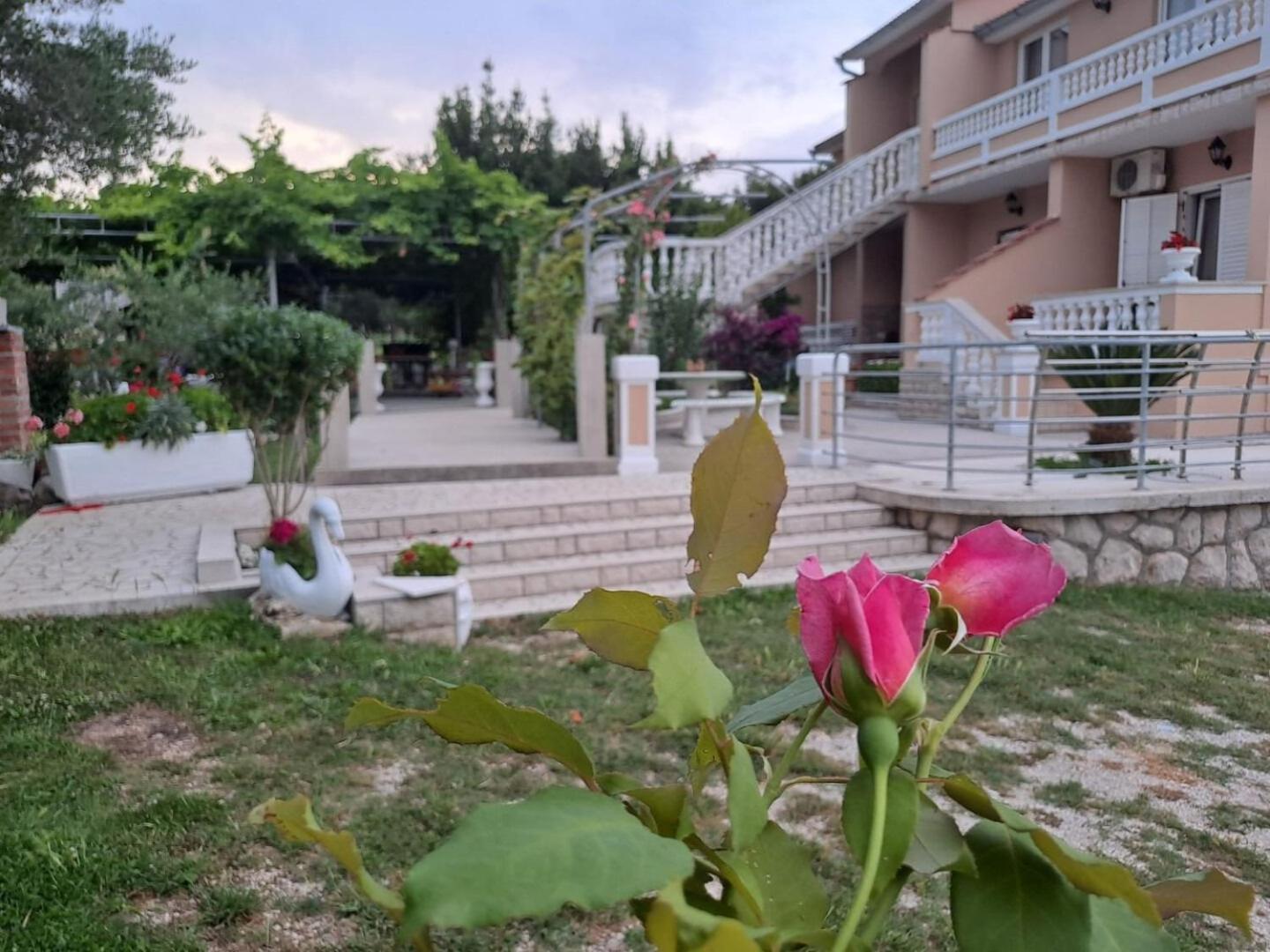 Apartments Mig - With Beautiful Garden Supetarska Draga Exteriör bild