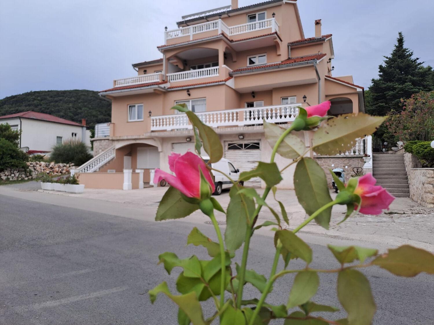 Apartments Mig - With Beautiful Garden Supetarska Draga Exteriör bild